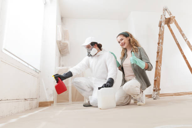 Best Mold Damage Restoration  in Castle Rock, WA